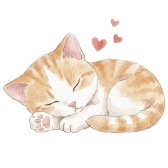 sleepy gatito
